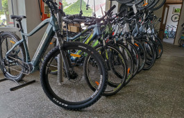 IMG_20220714_084331