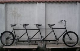 MINOLTA DIGITAL CAMERA